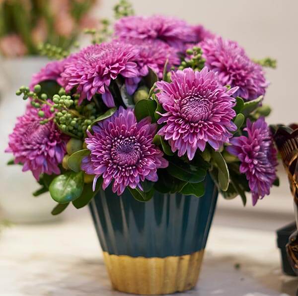 Chrysanthemums